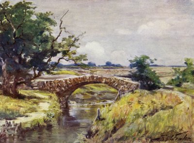 スワンジー近郊の古いローマ橋（カラーリトグラフ 作： Robert (after) Fowler