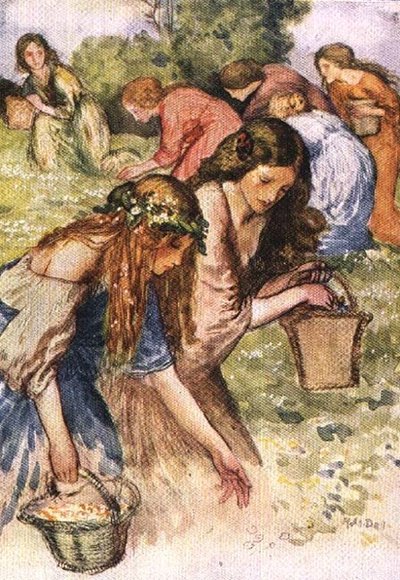 1907年に出版されたPalgrave
