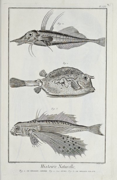 ドゥニ・ディドロの「科学、自由芸術、機械芸術のための平面図とその説明」からの抜粋。 作： Robert Benard