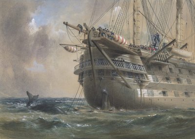H.M.S. 1858 年に大西洋電信ケーブルを敷設するアガメムノン: クジラが一線を越える、1865-66 年。 作： Robert Charles Dudley