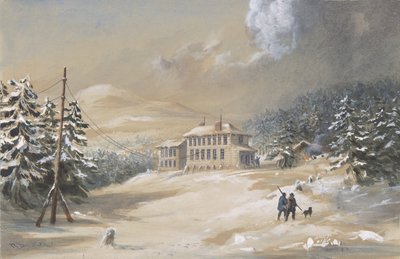 トリニティ湾、ニューファンドランド、テレグラフ ハウスの外観、1857 ～ 1858 年、1865 ～ 66 年。 作： Robert Charles Dudley