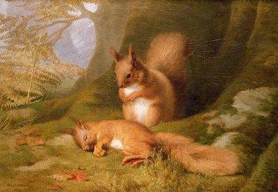 森のリス、1874 作： Robert Collinson