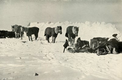 1911年、1913年、キャンプオンザバリアのシェルターの背後にあるポニー 作： Robert Falcon Scott