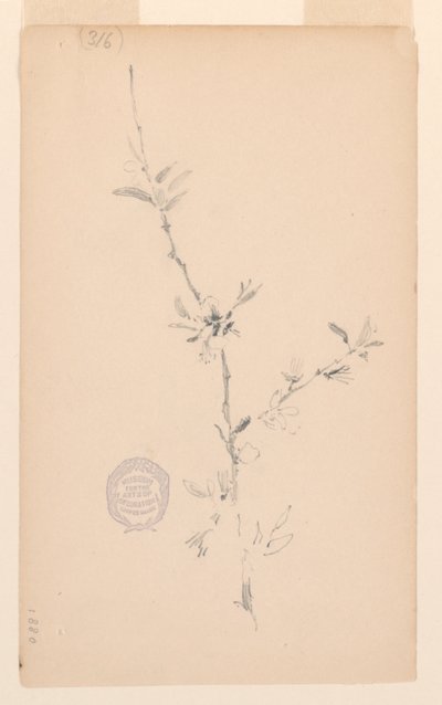 枝 作： Robert Frederick Blum