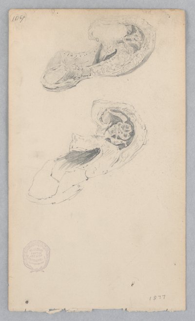 靴 作： Robert Frederick Blum