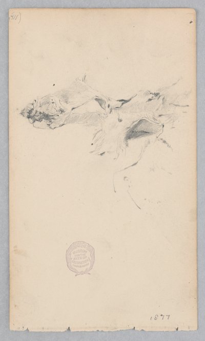虎皮敷物 作： Robert Frederick Blum