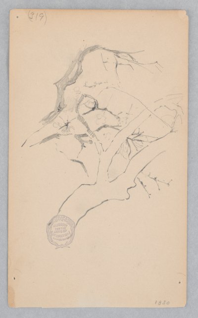 木の枝 作： Robert Frederick Blum