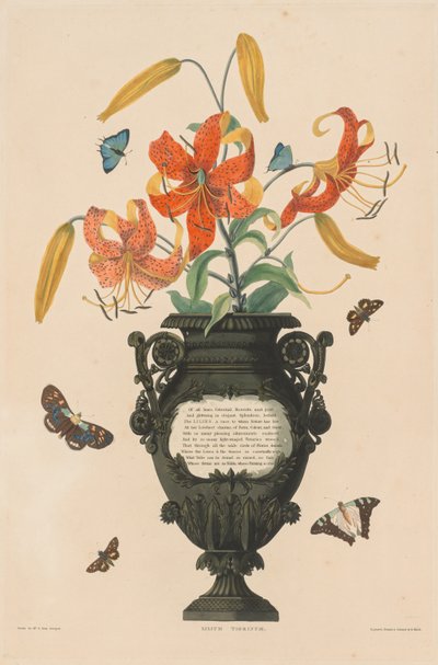 六角形の植物の選択...：タイガーリリー、1831年から1832年。 作： Robert Havell