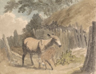 Um burro e um potro 作： Robert Hills