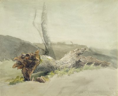 倒れた木、c.1804（織り紙のグラファイトの上にトイレ） 作： Robert Hills