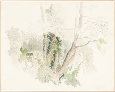  作： Robert Hills