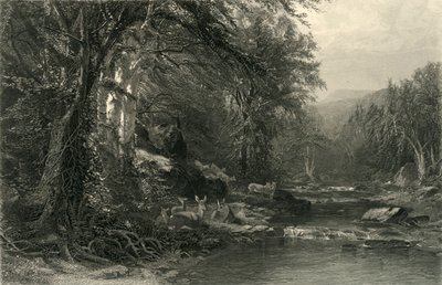 「アディロンダックの森」、1874 年。 作： Robert Hinshelwood