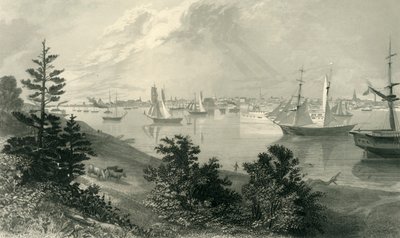 「カナダ海岸からのデトロイト市」、1872年。 作： Robert Hinshelwood
