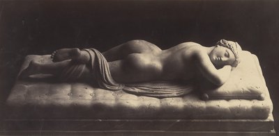 雌雄同体、ca。 1861年。 作： Robert MacPherson