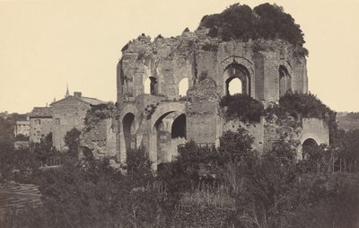 テンプラム ミネルバ メディカとその周辺地域 作： Robert MacPherson