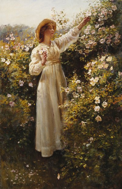野薔薇 作： Robert Payton Reid
