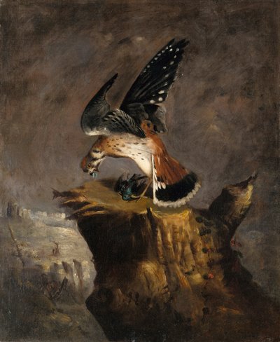 ハゲタカとその獲物、1844年。 作： Robert Seldon Duncanson