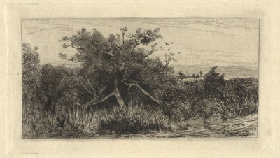 節くれだった木 作： Robert Swain Gifford
