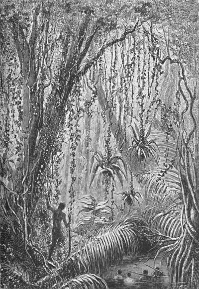 ブラジルの森、c1885 1890 作： Robert Taylor Pritchett