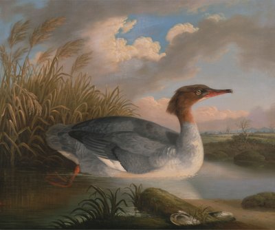 A Dun Diver (Goosander)   1432550   ja       japanese Successfully Translated  Original: The Garden of Earthly Delights. ca. 1560 (tapestry) Translat: The Garden of Earthly Delights. ca. 1560 (tapestry) 1450438 ja japanese Successfully Translated Original: 作： Robert Wilkinson Padley