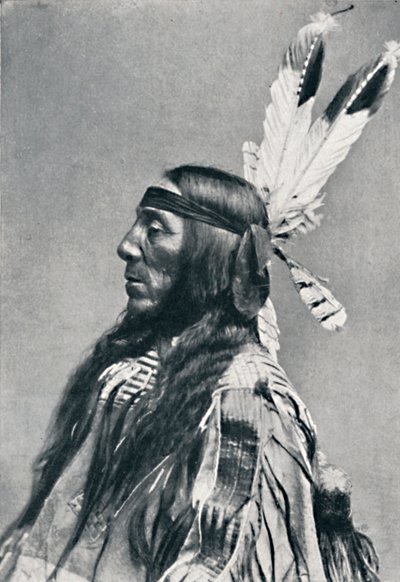 スーのプロフィール、1912年 作： Robert Wilson Shufeldt