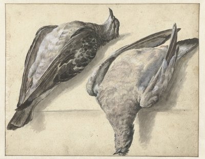 2 つの死んだ鳩 作： Rochus van Veen