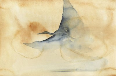 空を舞う幻の鳥 作： RodMacIver