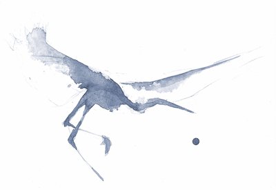 優雅な水彩画のサギ 作： RodMacIver