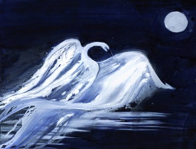 月明かりに照らされた白鳥 作： RodMacIver