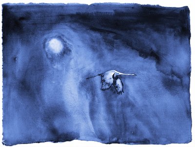  作： RodMacIver