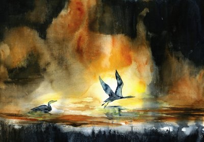 夕暮れの水鳥 作： RodMacIver