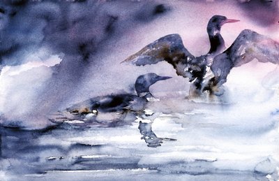 夕暮れの水鳥 作： RodMacIver