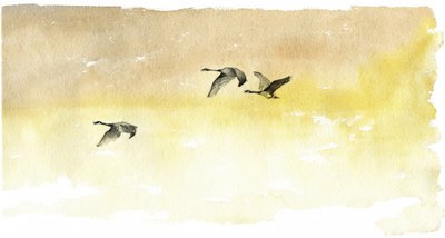 水彩画「雁の群れ」 作： RodMacIver