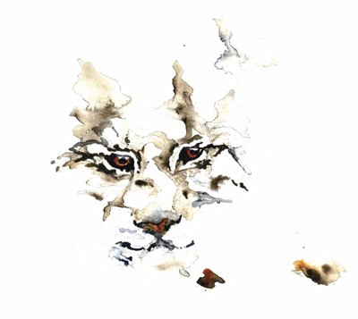 野生のオオヤマネコの水彩画 作： RodMacIver