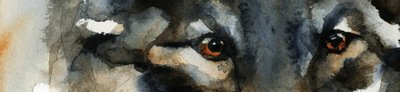 ワイルド・ウルフ・アイズ 作： RodMacIver