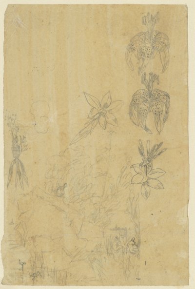 花学と入浴女性 作： Rodolphe Bresdin