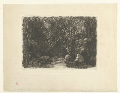 小川と張り出した木々の森の風景 ル・ルイソー・スー・ボワ 作： Rodolphe Bresdin
