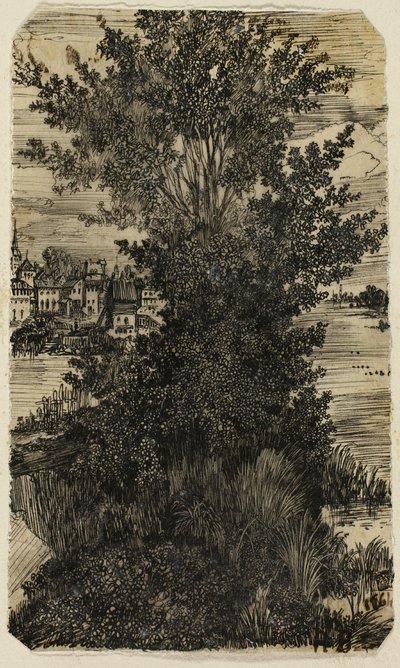 遠くに集落のある木々の群生 作： Rodolphe Bresdin