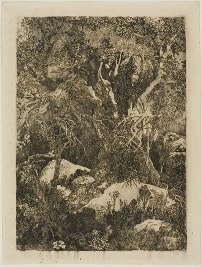 フォンテーヌブローの森 作： Rodolphe Bresdin