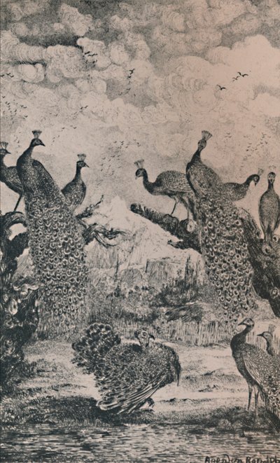 ピーコック、1869、1946 作： Rodolphe Bresdin