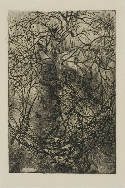 木の枝 作： Rodolphe Bresdin