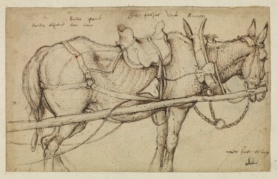 ハーネスのラバ 作： Roelandt Jacobsz. Savery