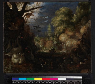 鳥の創造、1619 作： Roelandt Jacobsz. Savery