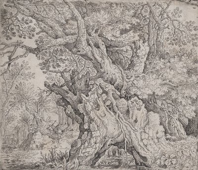 節くれだった木、カリフォルニア州。 1608-09。 作： Roelandt Savery