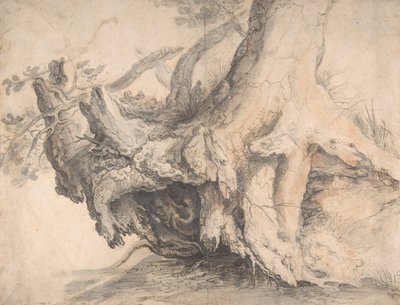 木の研究、カリフォルニア州。 1606-7。 作： Roelandt Savery