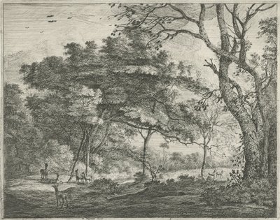 Haagse Bos の鹿 作： Roelant Roghman
