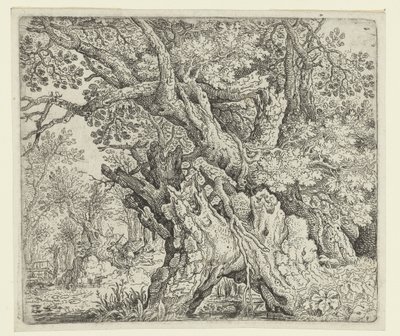 水の近くの節くれだった木 節くれだった木 作： Roelant Savery