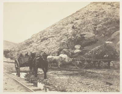 バラクラを去る牛と馬車 作： Roger Fenton
