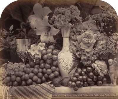果物と花 作： Roger Fenton