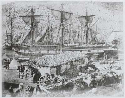 バラクラバの港にある牛の桟橋 作： Roger Fenton